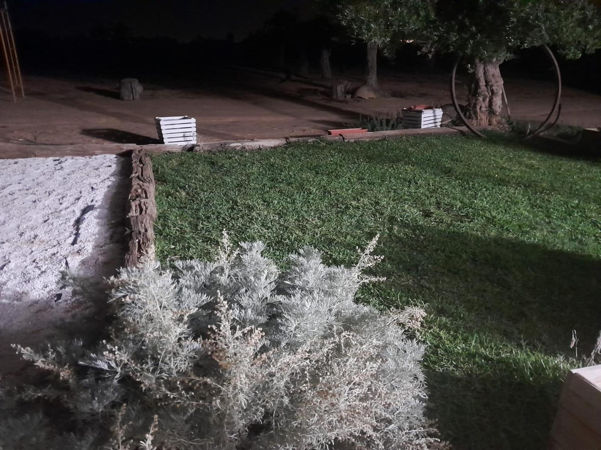 Casa Rural Cerro Campon カルモナ エクステリア 写真